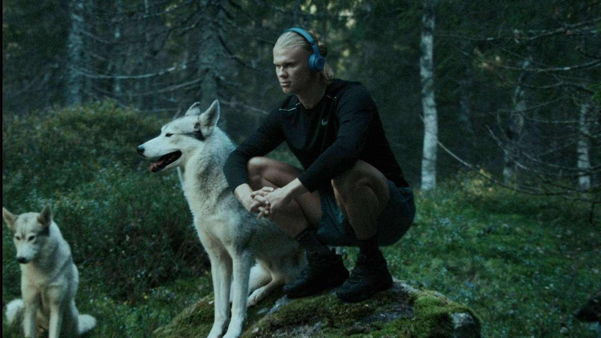 些和特定女 些和特定女