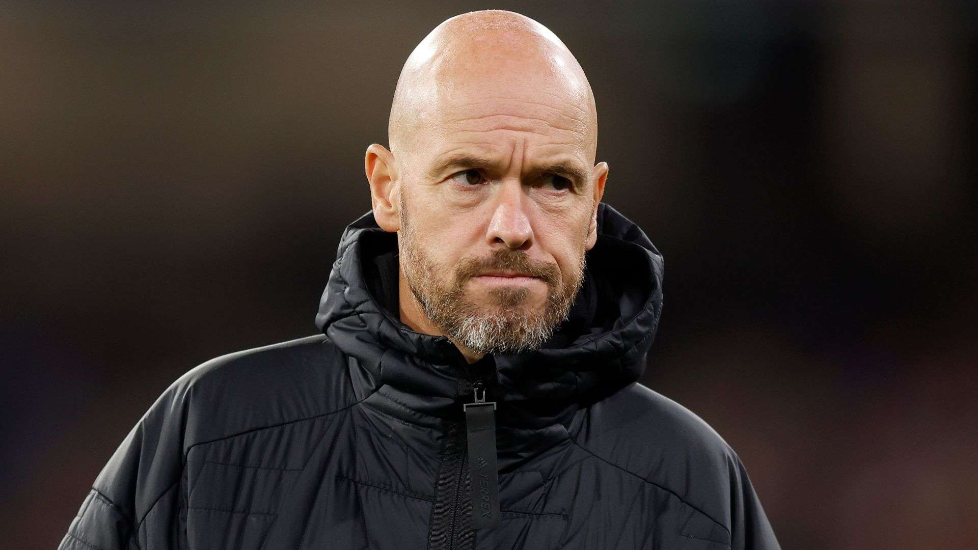 入了新的希 入了新的希